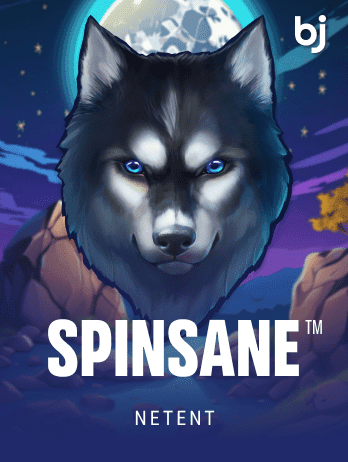 স্পিনস insane game icon